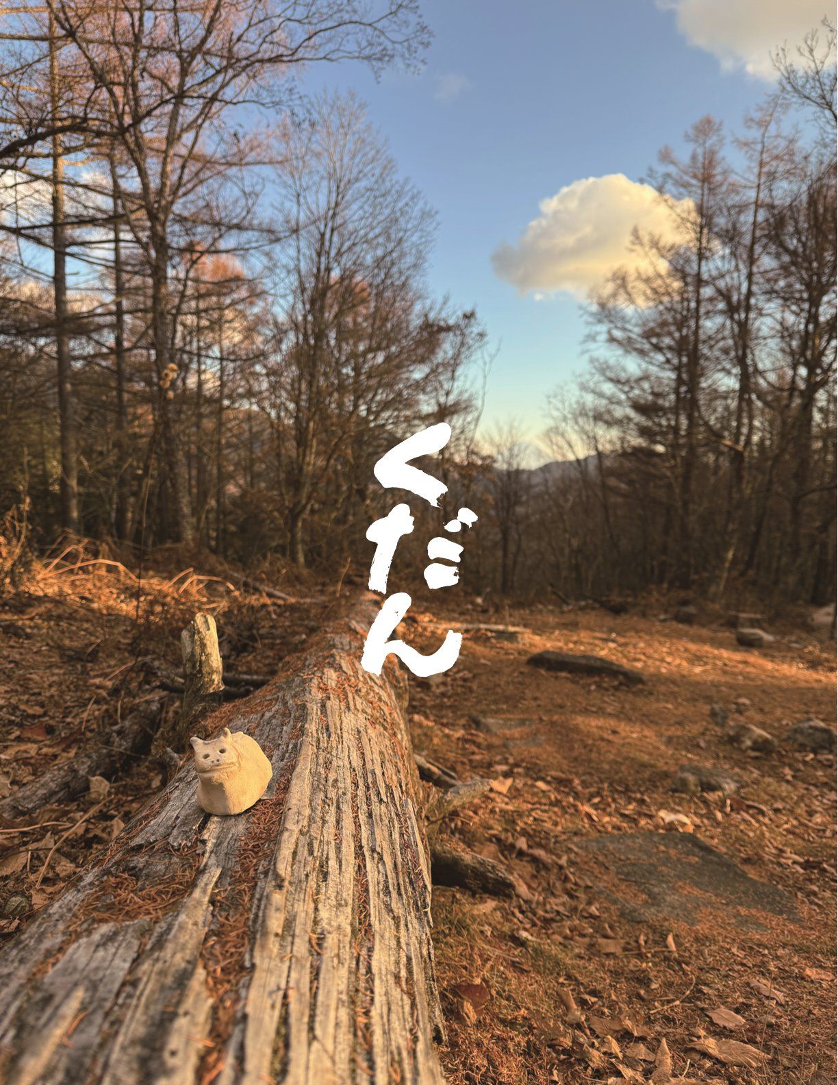 早稲田大学書道会