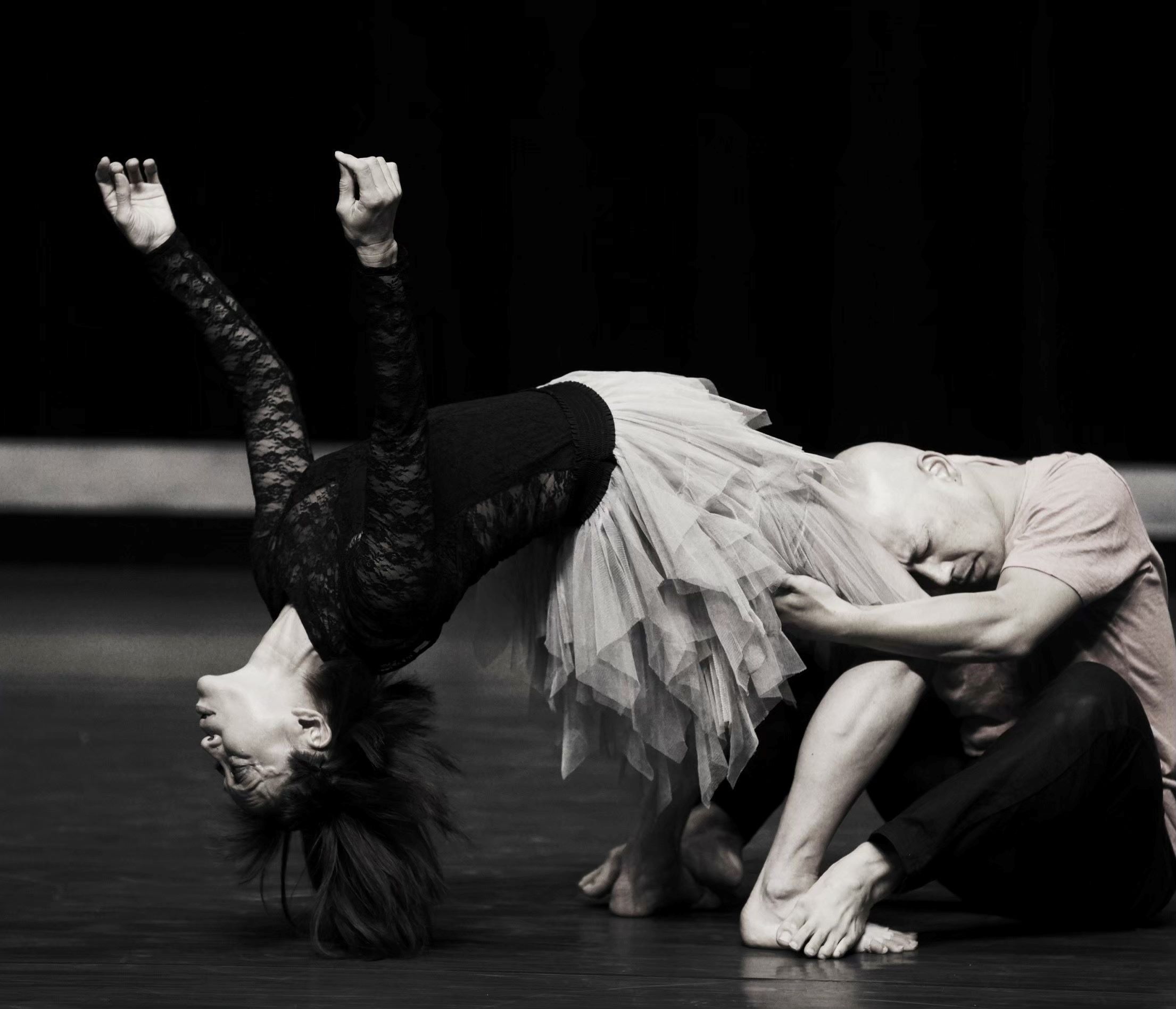 E・C・M element 【へその緒】