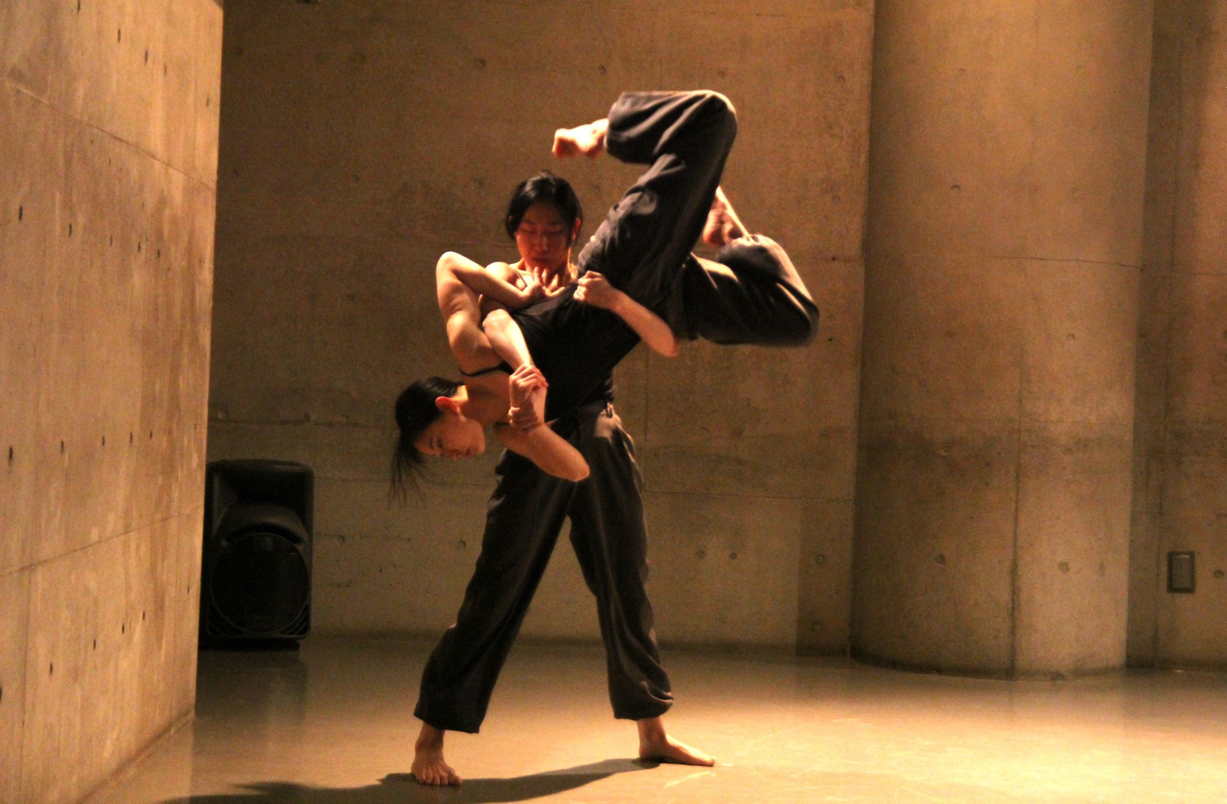 セッションハウス,スタジオ,アート,ギャラリー,ダンス,レッスン,教室,コンテンポラリーダンス,バレエ,21フェス,マドモアゼル・シネマ,ワークショップ,ダンスクラス,伊藤直子,近藤良平,東京,神楽坂,劇場,小劇場