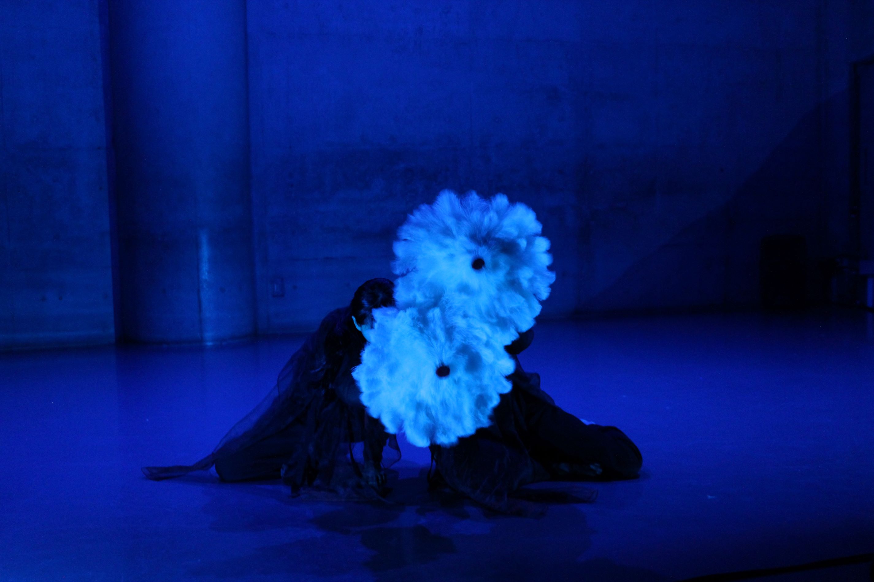 セッションハウス,スタジオ,アート,ギャラリー,ダンス,レッスン,教室,コンテンポラリーダンス,バレエ,21フェス,マドモアゼル・シネマ,ワークショップ,ダンスクラス,伊藤直子,近藤良平,東京,神楽坂,劇場,小劇場