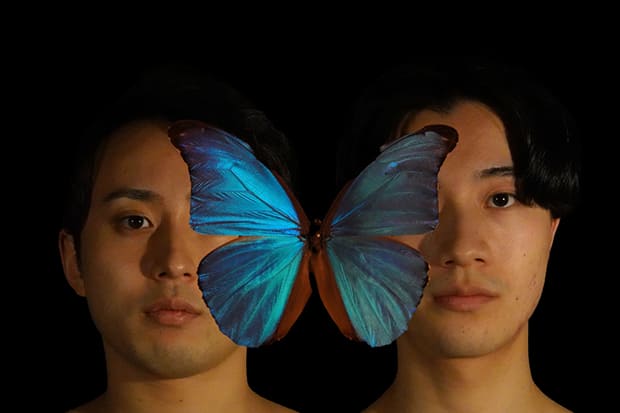 セッションハウス,スタジオ,アート,ギャラリー,ダンス,レッスン,教室,コンテンポラリーダンス,バレエ,21フェス,マドモアゼル・シネマ,ワークショップ,ダンスクラス,伊藤直子,近藤良平,東京,神楽坂,劇場,小劇場