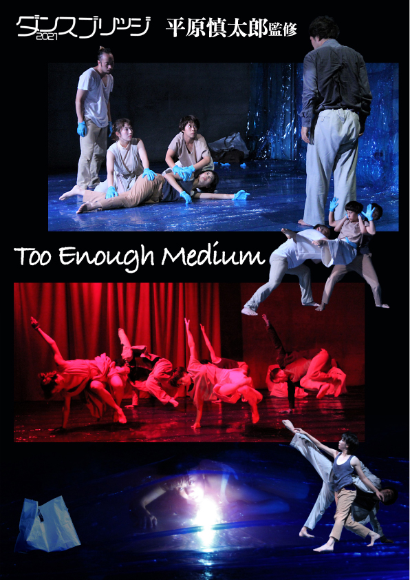 平原慎太郎監修『Too Enough Medium』