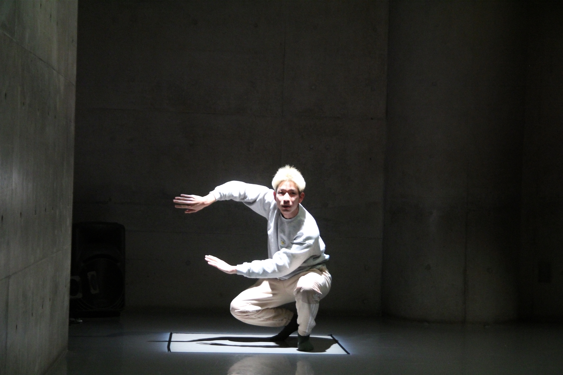 セッションハウス,スタジオ,アート,ギャラリー,ダンス,レッスン,教室,コンテンポラリーダンス,バレエ,21フェス,マドモアゼル・シネマ,ワークショップ,ダンスクラス,伊藤直子,近藤良平,東京,神楽坂,劇場,小劇場