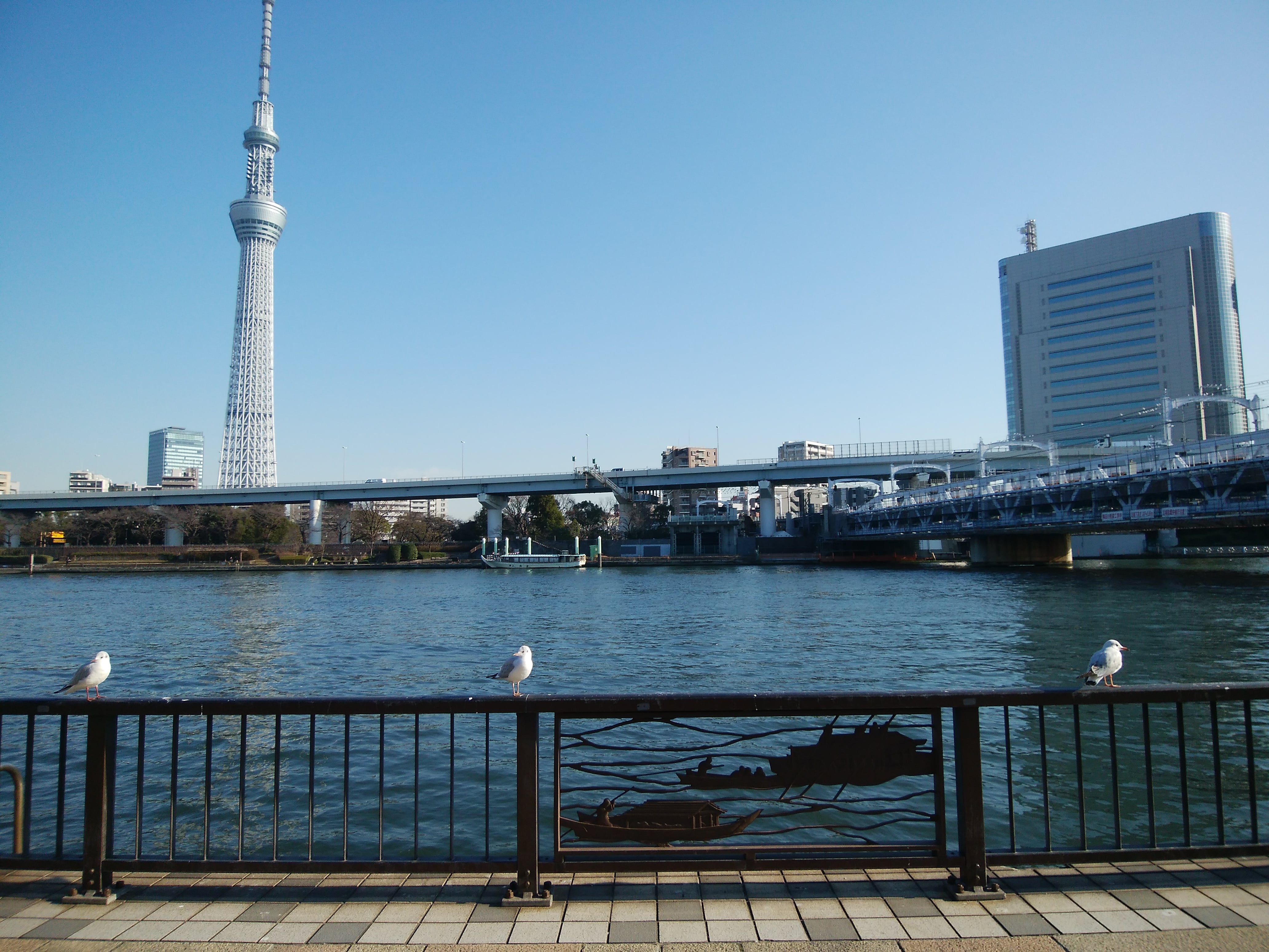 鳥たちまでロング・ディスタンス