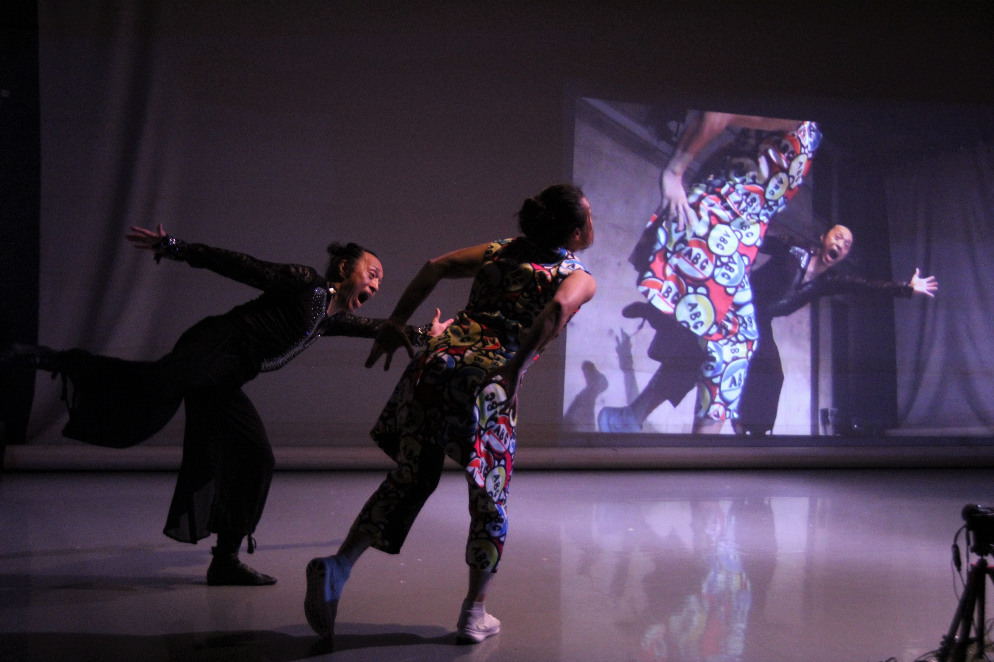 チーム鴨川(石渕聡・望月崇博)「地底 2000 マイル」