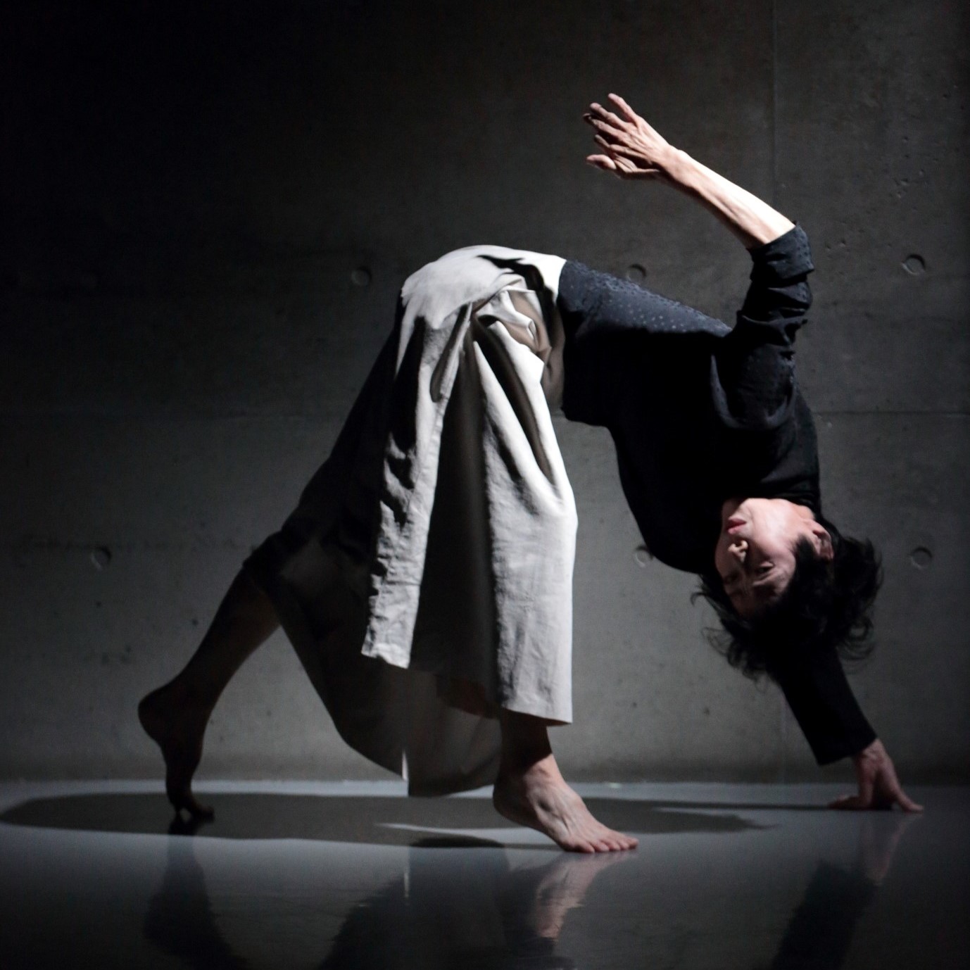 セッションハウス,スタジオ,アート,ギャラリー,ダンス,レッスン,教室,コンテンポラリーダンス,バレエ,21フェス,マドモアゼル・シネマ,ワークショップ,ダンスクラス,伊藤直子,近藤良平,東京,神楽坂,劇場,小劇場